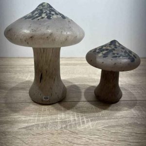 SETAS MONICA BACKSTROM