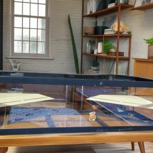 TORTUGUERO/ ACUATERRARIO DE CRISTAL