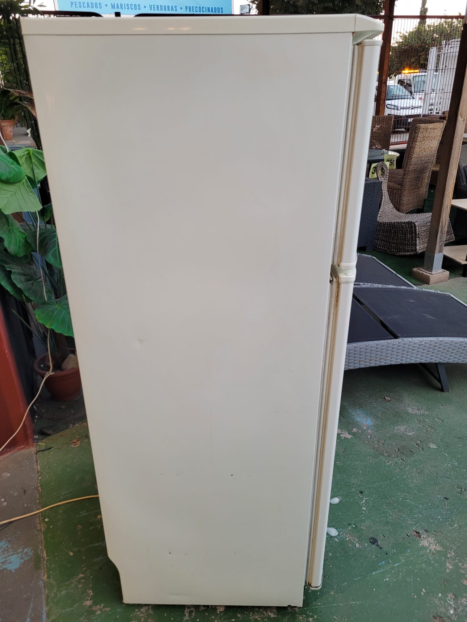 NEVERA FARGOR DOS PUERTAS - Imagen 4