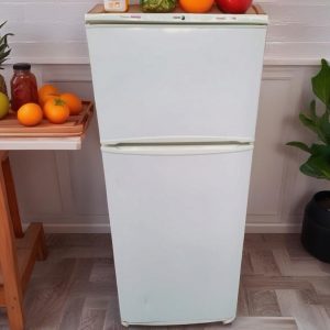 NEVERA FARGOR DOS PUERTAS