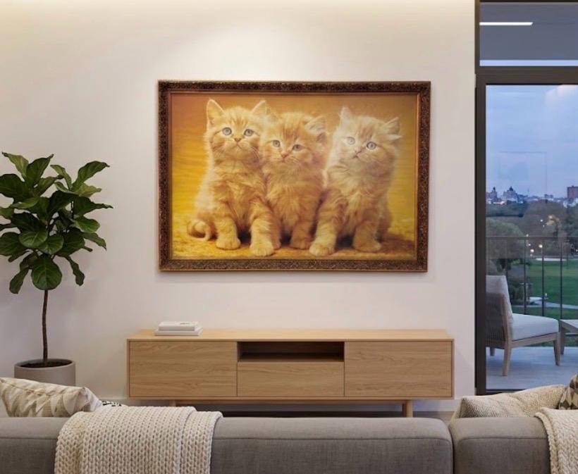 CUADROS GATITOS NARANJA