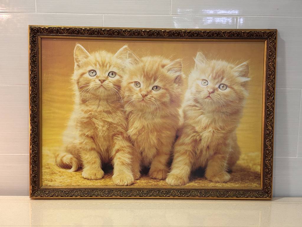 CUADROS GATITOS NARANJA - Imagen 2