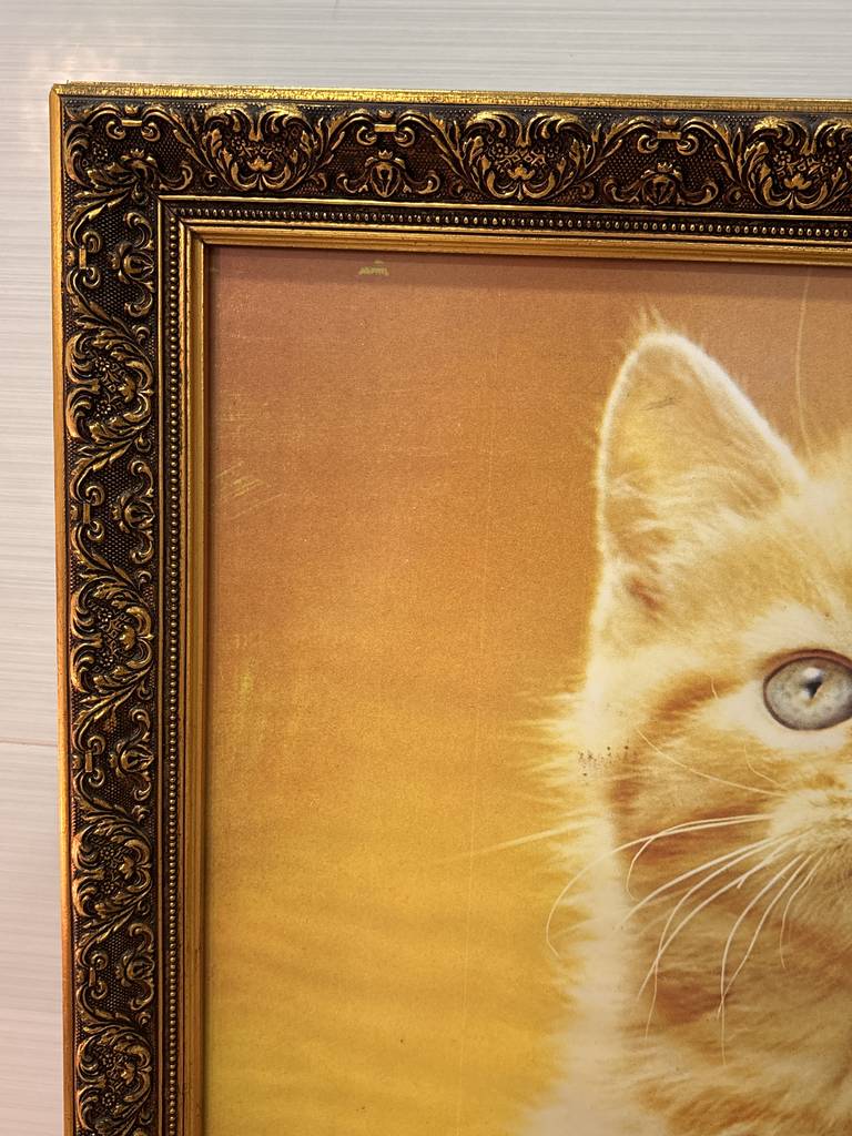 CUADROS GATITOS NARANJA - Imagen 3