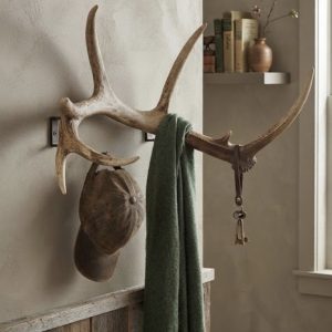 ASTA DE CIERVO NATURAL / DECORACIÓN