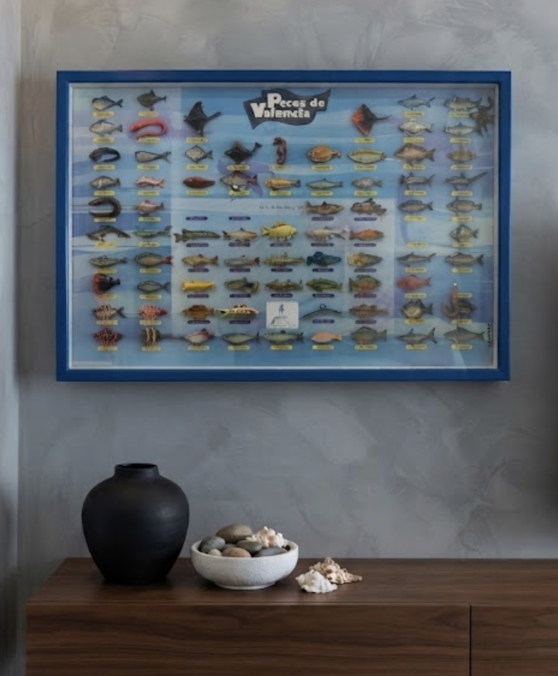 CUADRO COLECCION “Peces de Valencia”