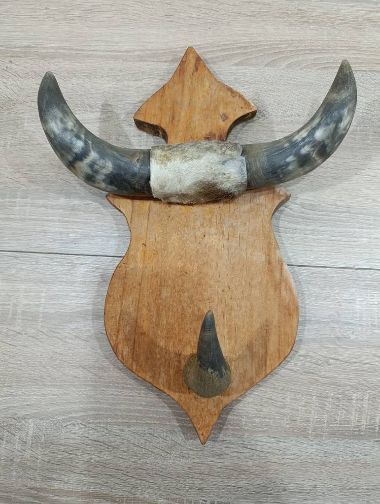 PERCHERO VINTAGE CUERNOS TORO Y MADERA - Imagen 2