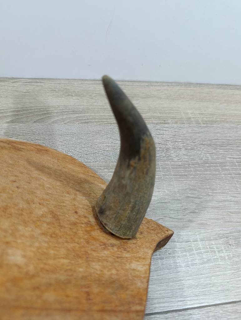 PERCHERO VINTAGE CUERNOS TORO Y MADERA - Imagen 6