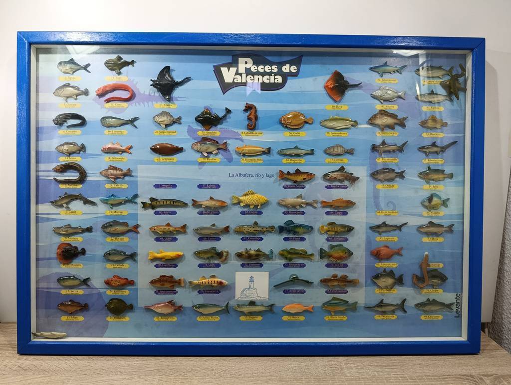 CUADRO COLECCION “Peces de Valencia” - Imagen 2