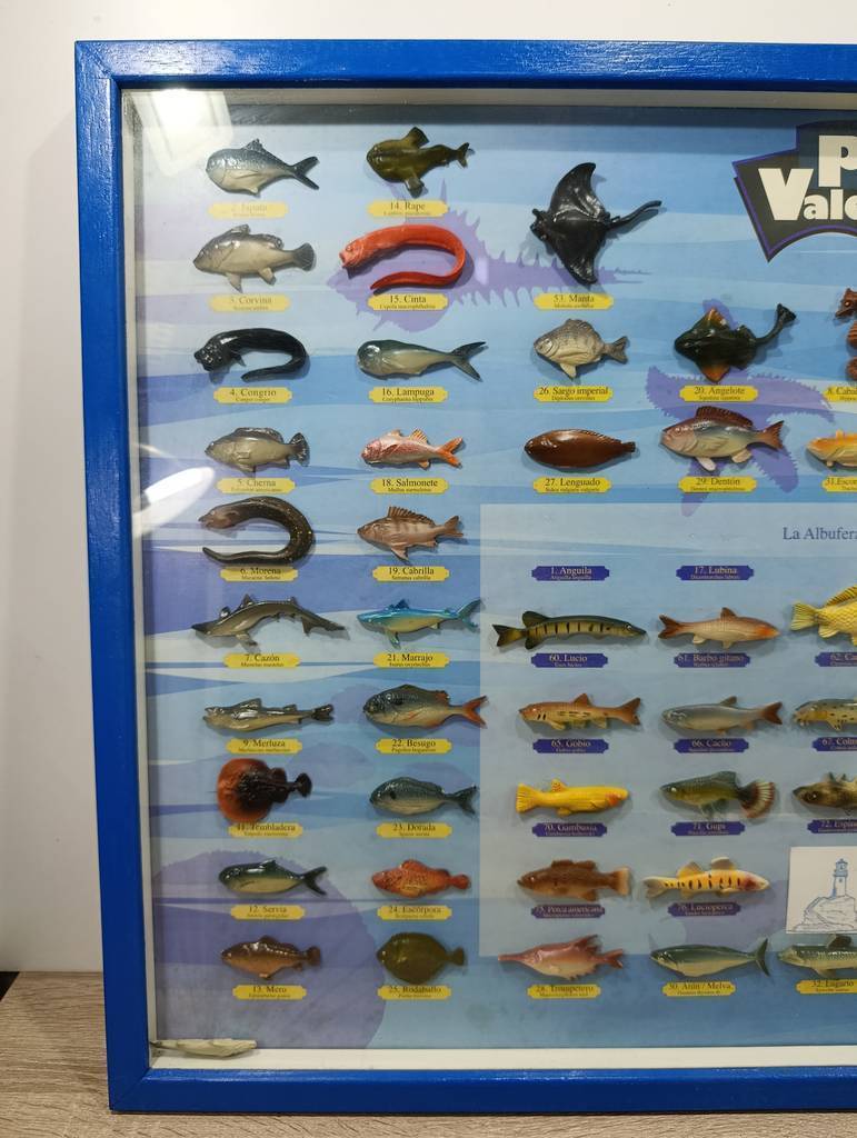 CUADRO COLECCION “Peces de Valencia” - Imagen 3