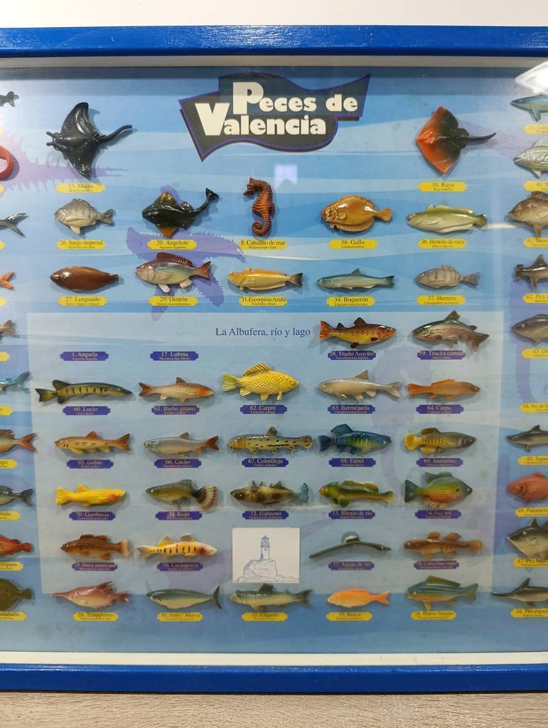 CUADRO COLECCION “Peces de Valencia” - Imagen 5