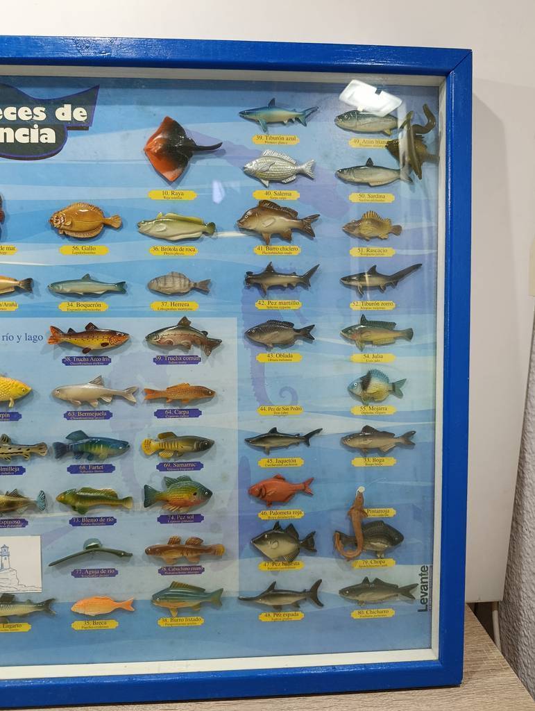 CUADRO COLECCION “Peces de Valencia” - Imagen 6