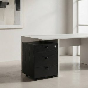 CAJONERA DE OFICINA Y RUEDAS