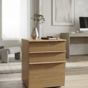 CAJONERA BUCK DE OFICINA CON RUEDAS/ 3 CAJONES