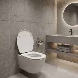 TAPA Y ASIENTO PARA VÁTER VICTORIA ROCA